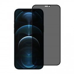 UNIQ iPhone 12 Pro Max Privacy Panzerglas / Displayschutzglas 10D Full
